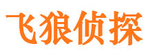 文县市出轨取证